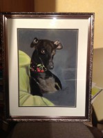 /album/galerie-photos/photo-801-jpg/